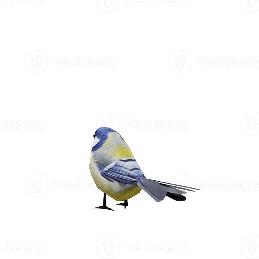 3d Great tit bird isolated png