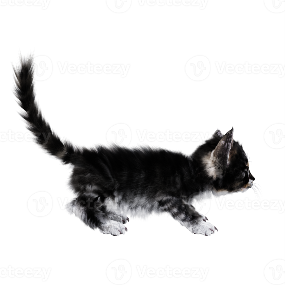 3d chaton chat isolé png