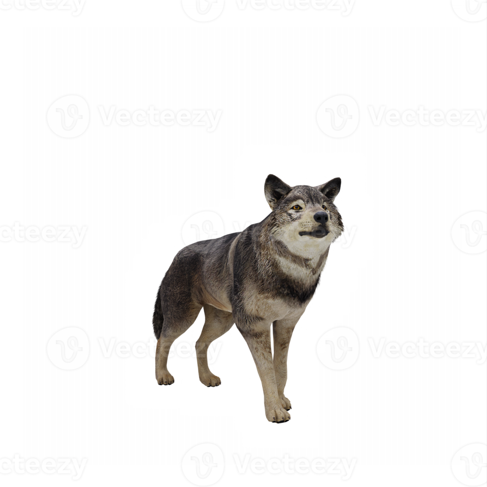 3d hout wolf geïsoleerd png