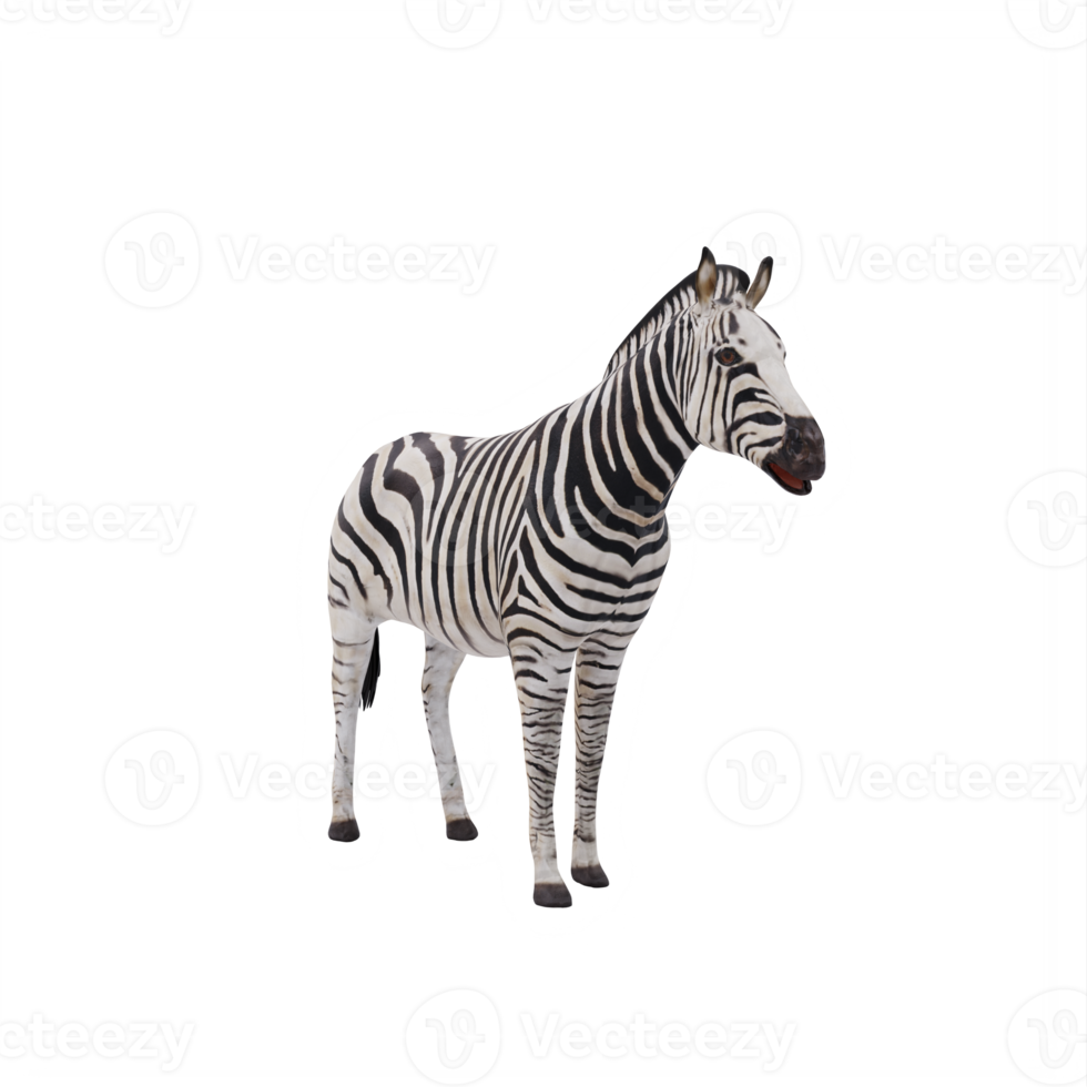 3d african zebra isolated png