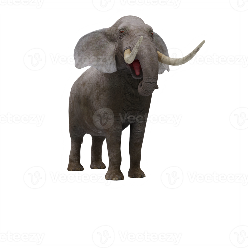 3d elefante isolato png