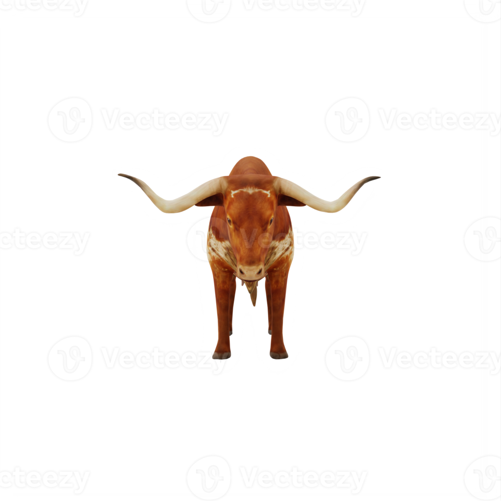 Texas Longhorn cattle isolated png