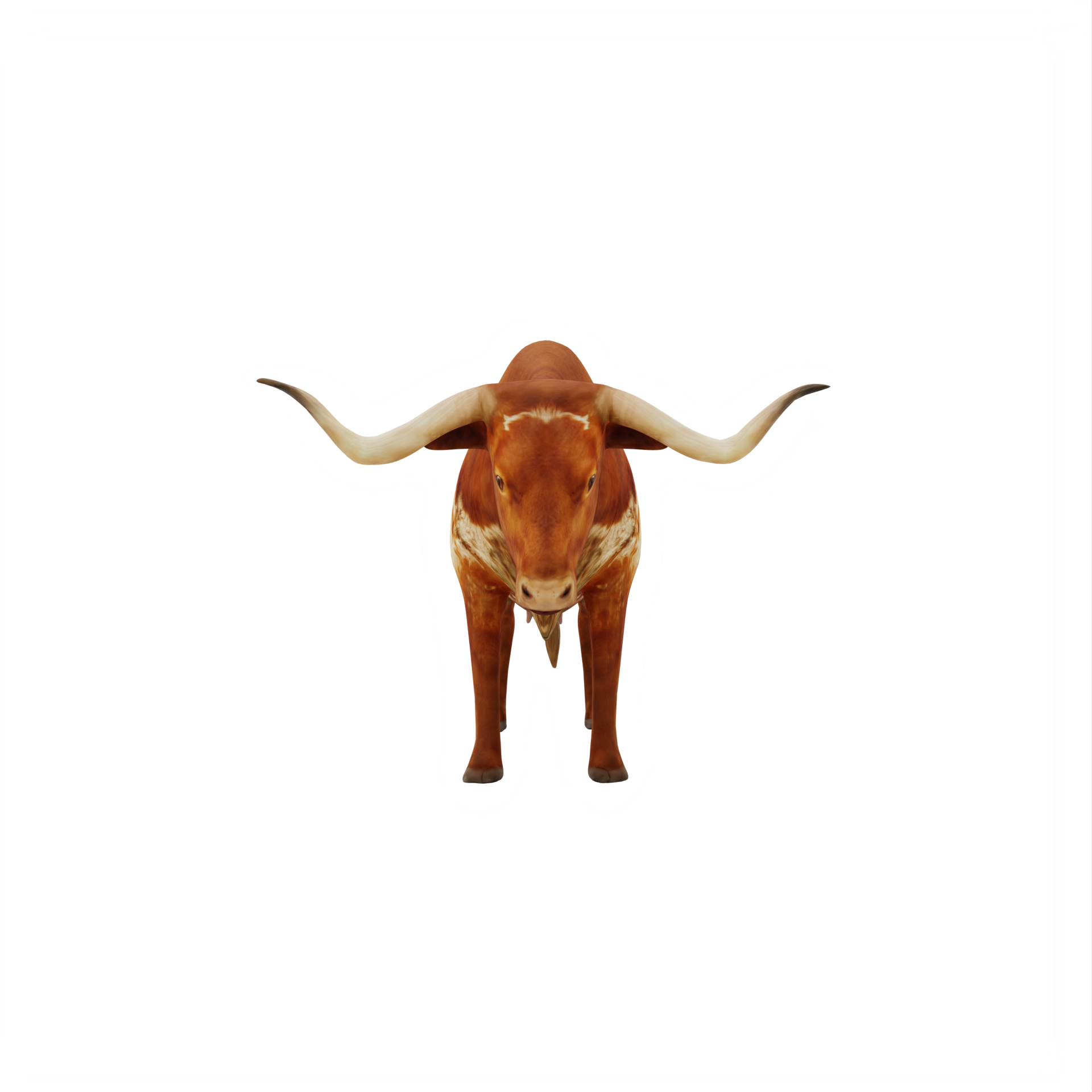 HD wallpaper texas longhorn cattle ranch bull livestock steer  western  Wallpaper Flare