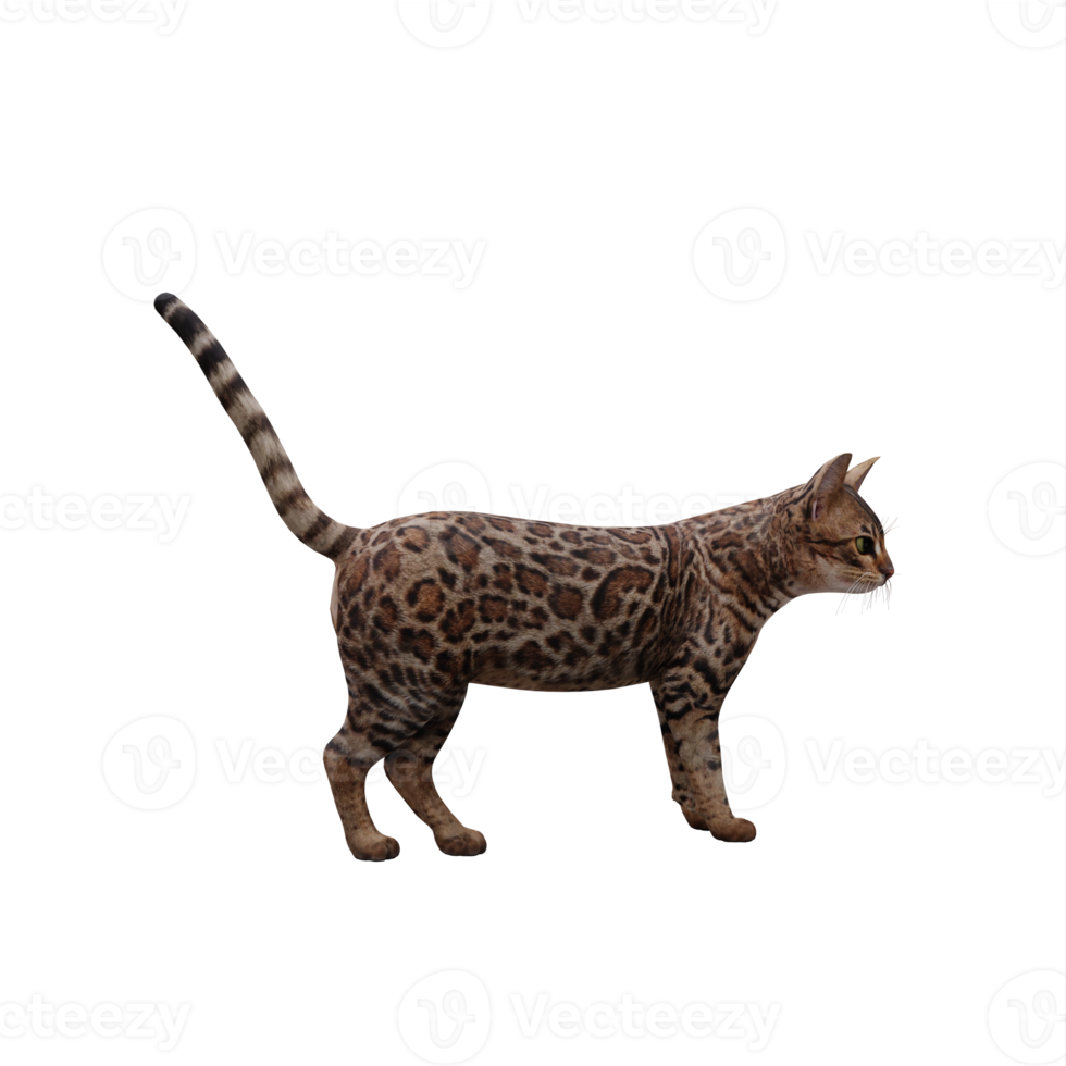 gato bonito 3d isolado png