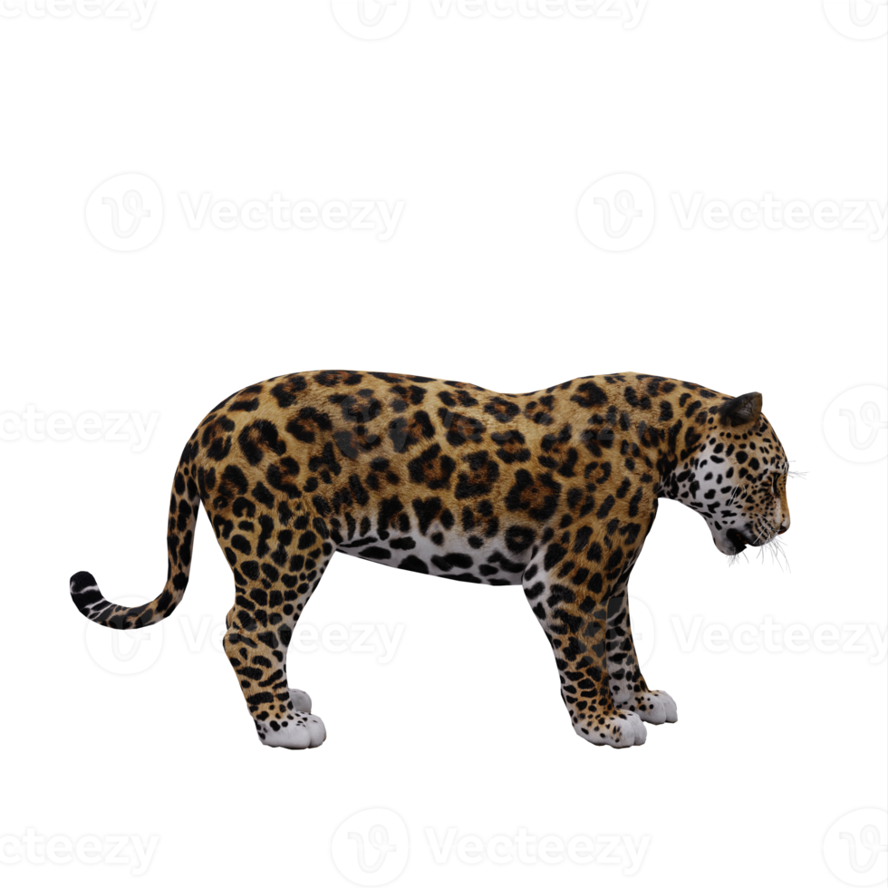 3d jaguar isolated png