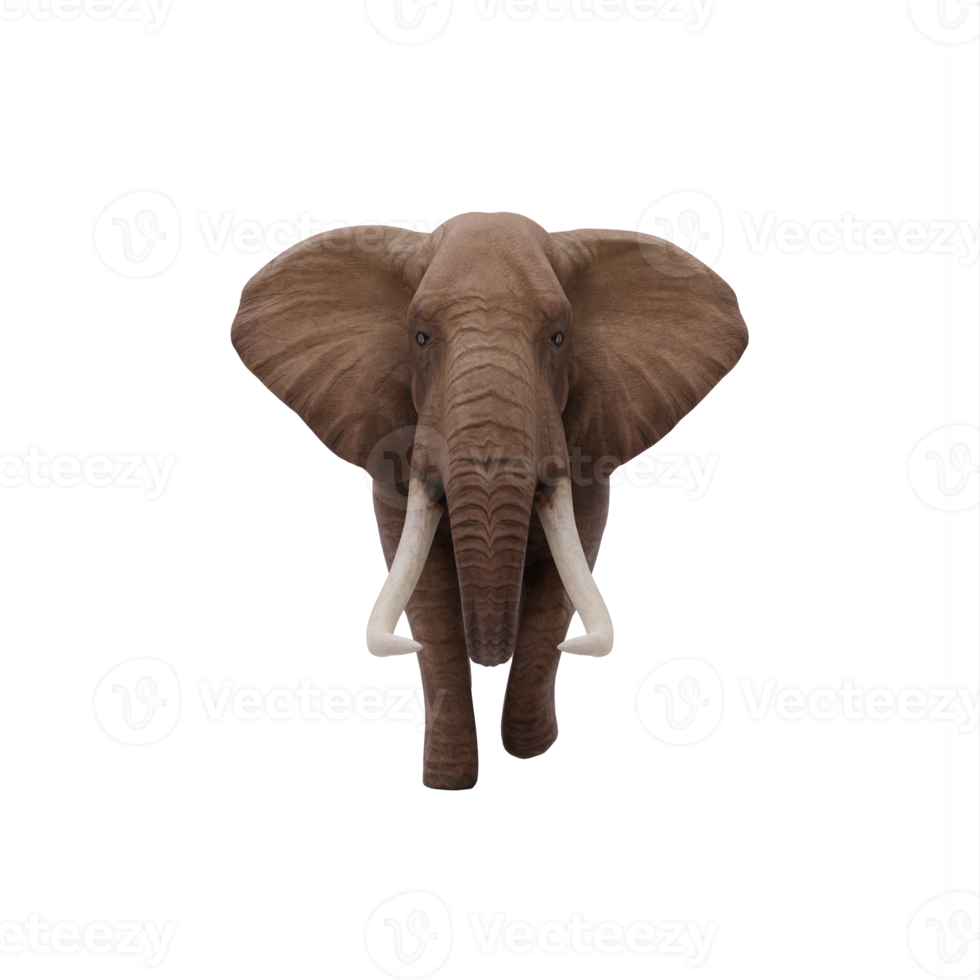 3d african Elephant isolated png