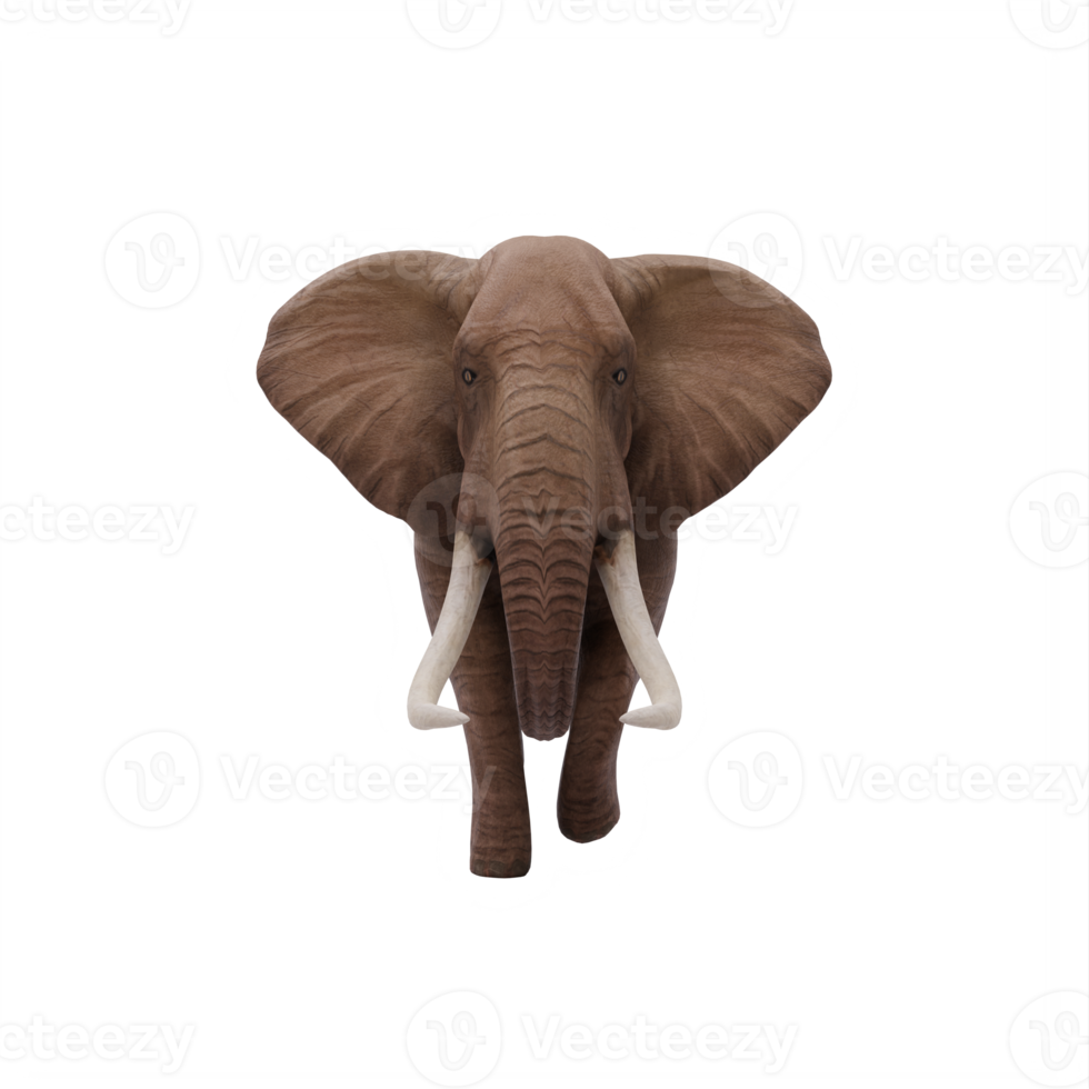 3d Afrikaanse olifant geïsoleerd png