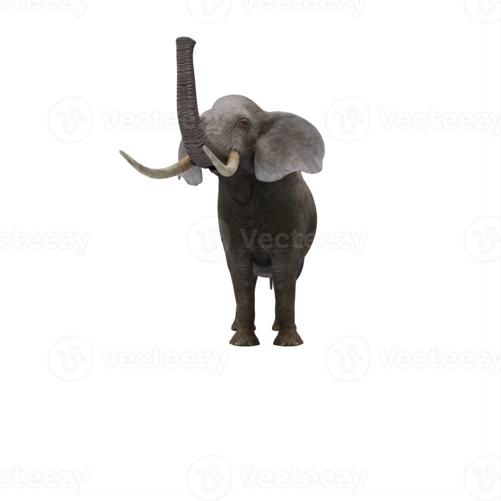3D-Elefant isoliert png