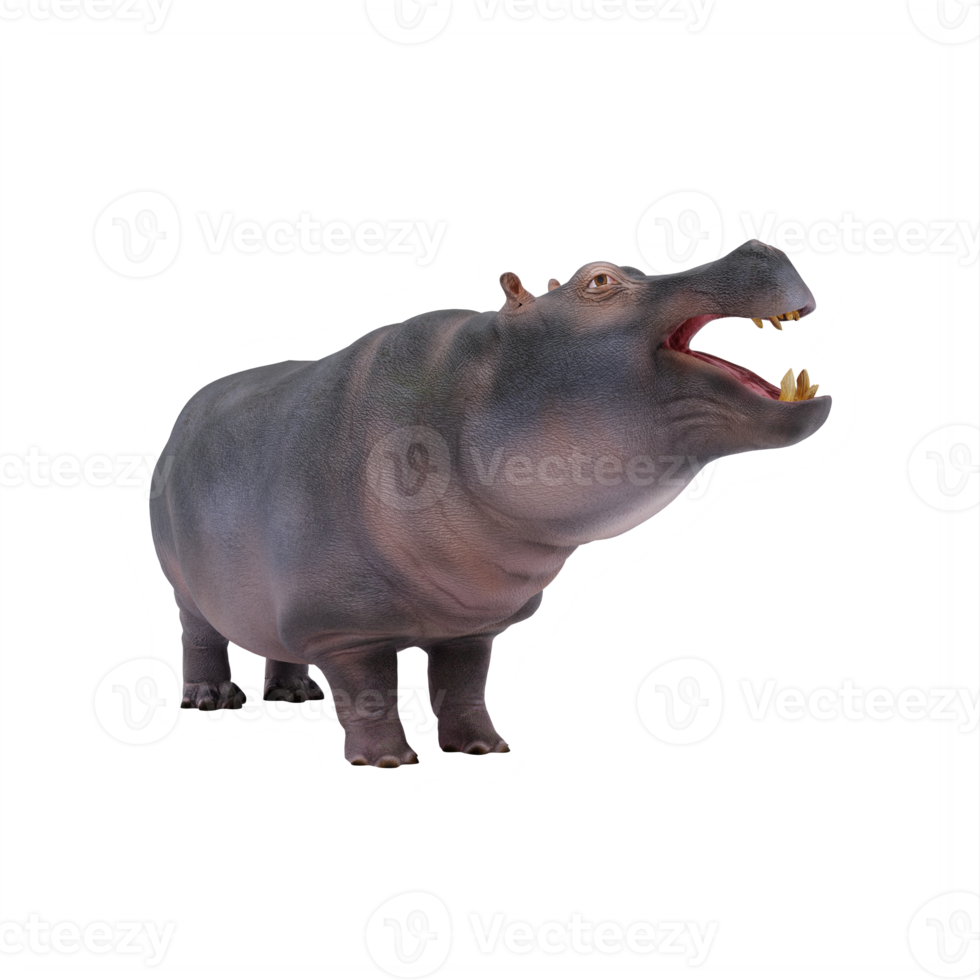 3d ippopotamo isolato png