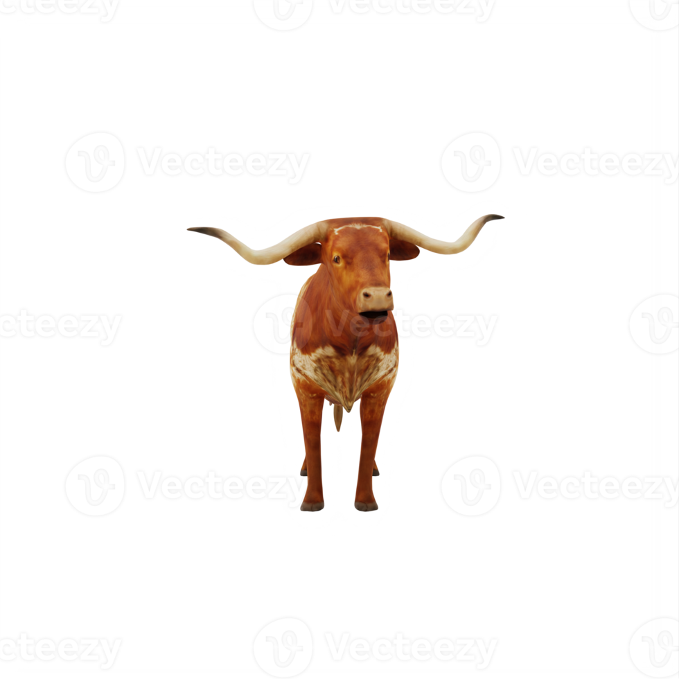 Texas Longhorn cattle isolated png