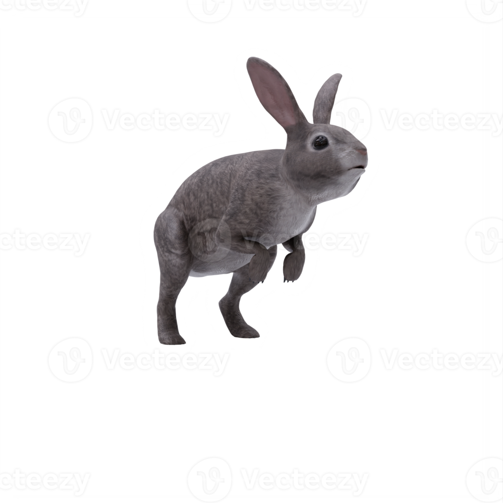 3d wild rabbit isolated png