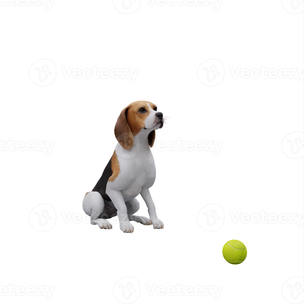 3d cute dog play with ball png