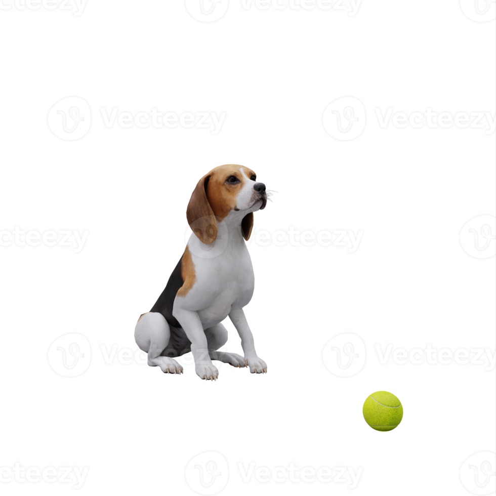 3d cute dog play with ball 18759208 PNG