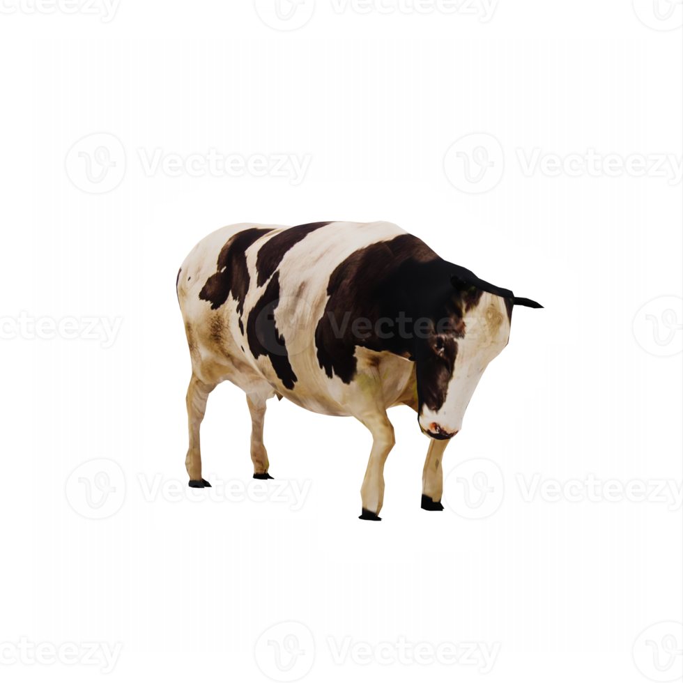 3d cows isolated png