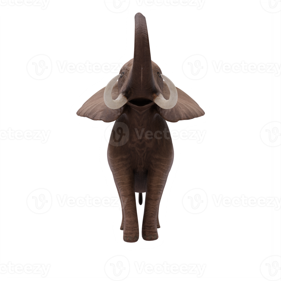 3d africano elefante isolato png