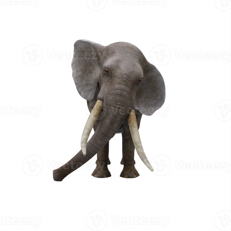 3d elefant isolerat png