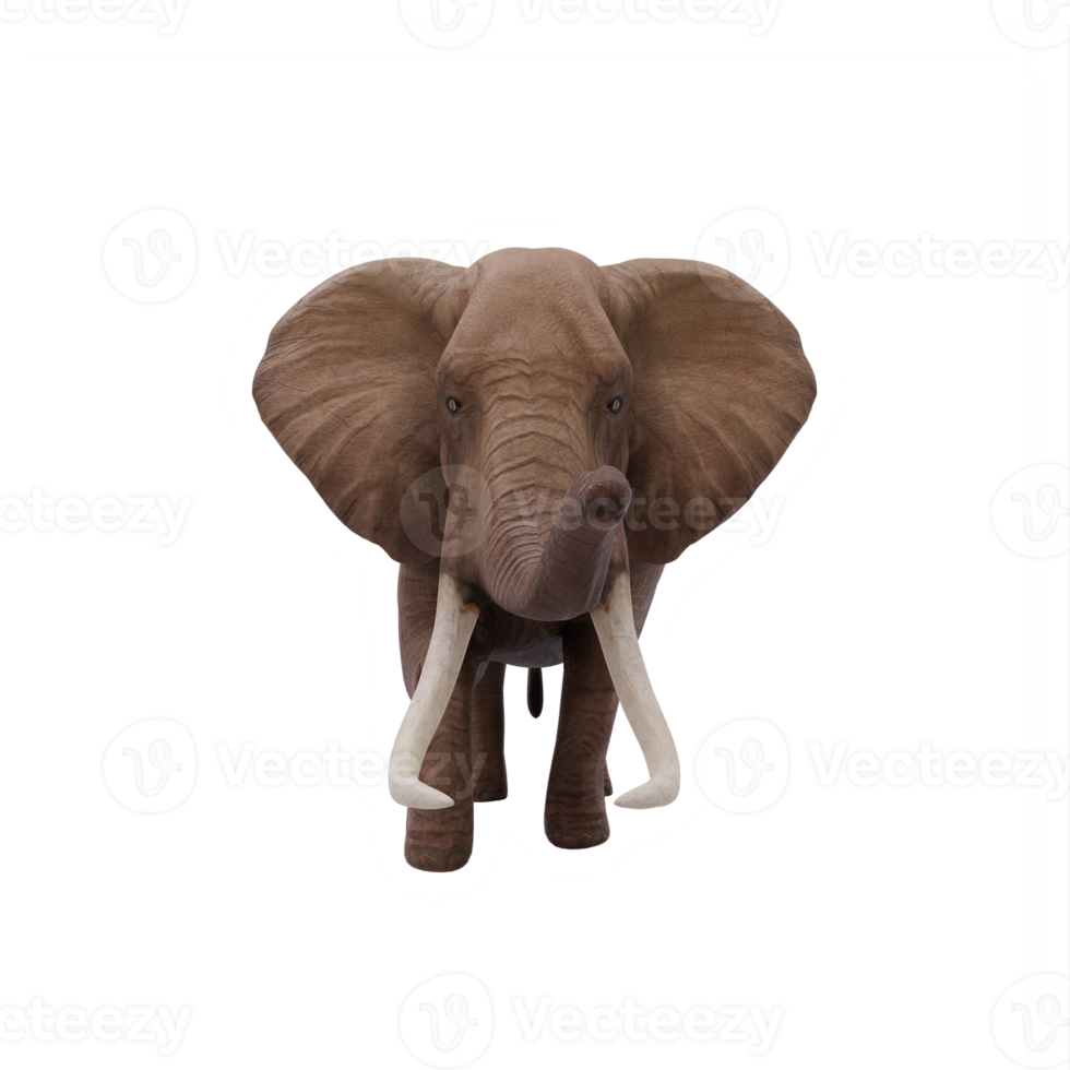 3D-afrikanischer Elefant isoliert png