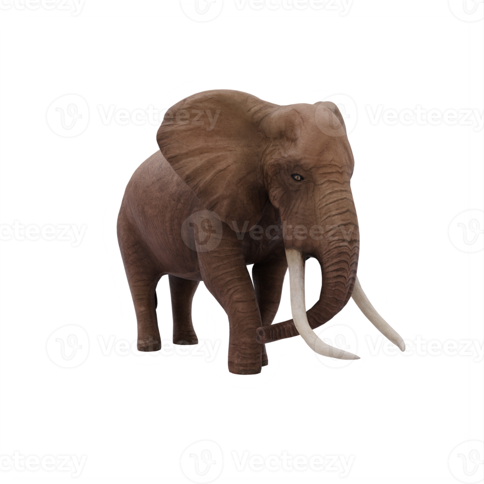 éléphant d'afrique 3d isolé png