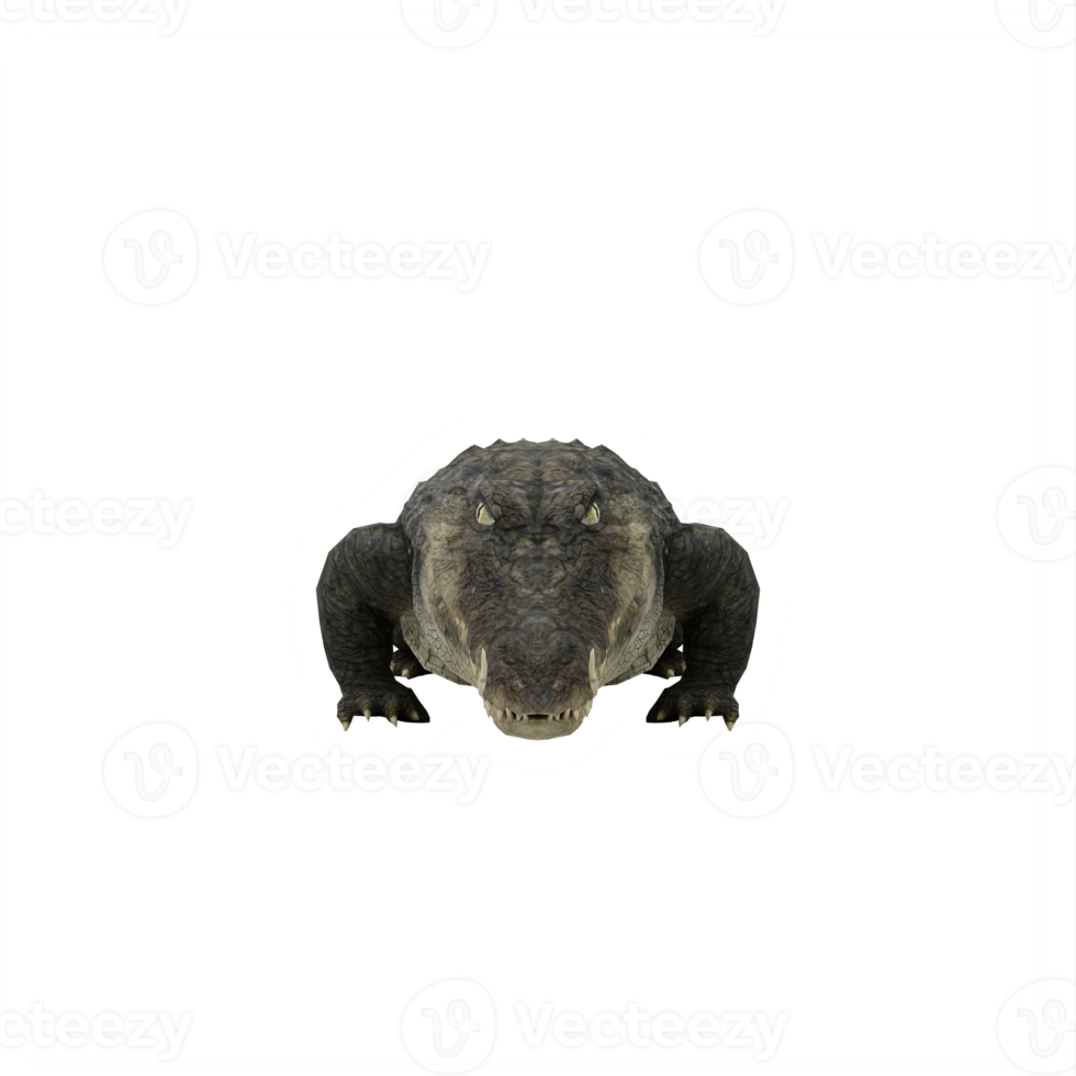 crocodilo 3d isolado png