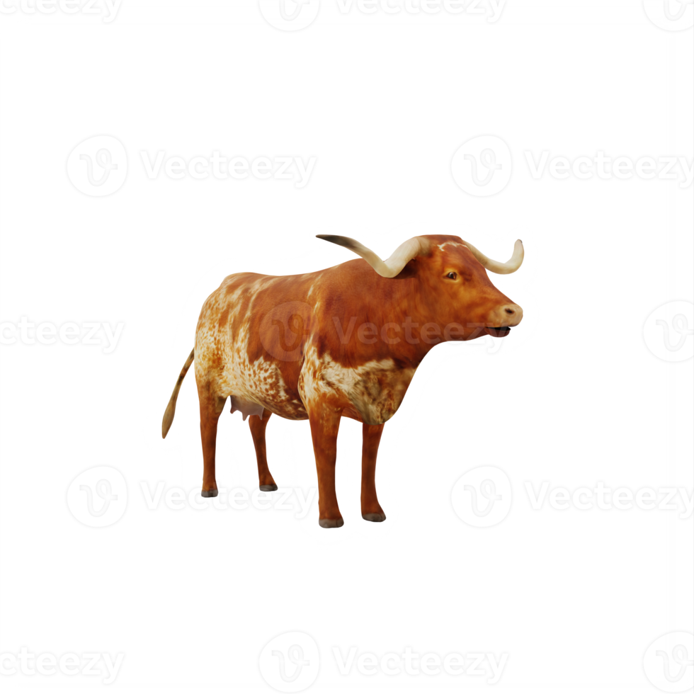 Texas Longhorn cattle isolated png
