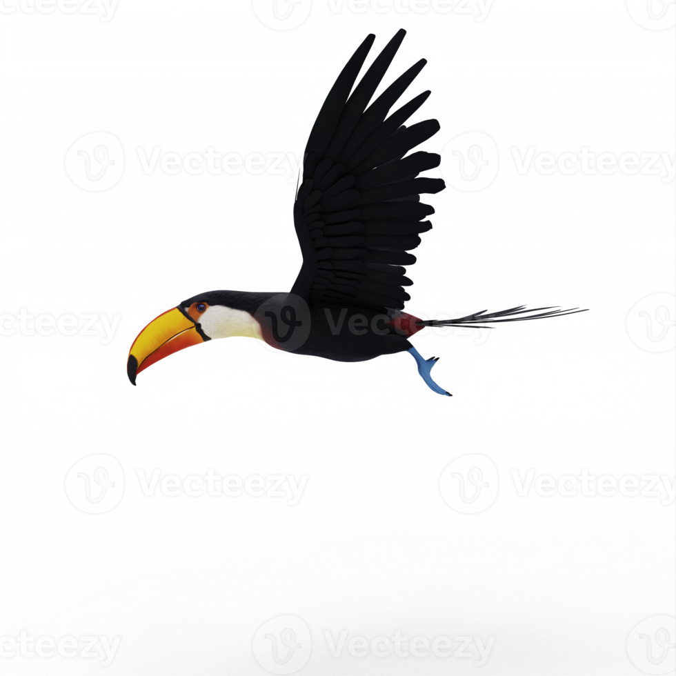 3d toucan bird isolated png