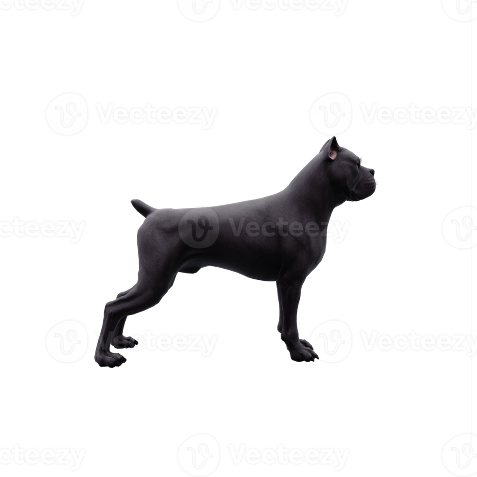 3d cane corso png