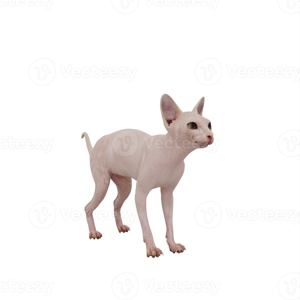 3d sphynx katt isolerat png