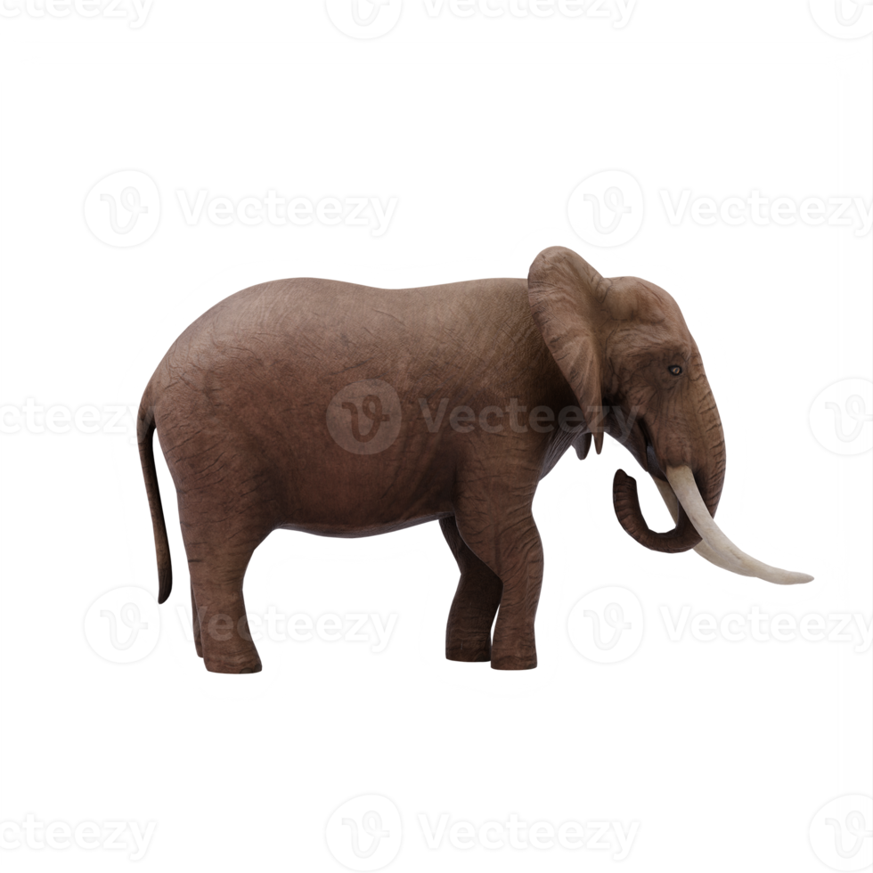 elefante africano 3d aislado png