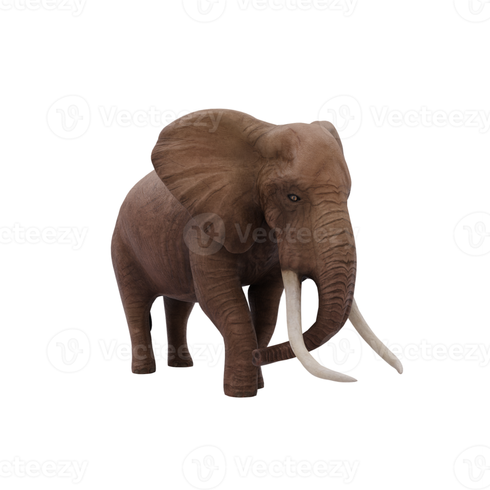 3d african Elephant isolated png