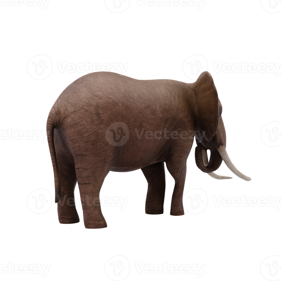 3d afrikansk elefant isolerat png