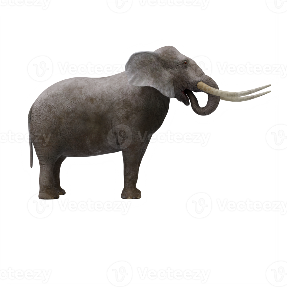 elefante 3d aislado png