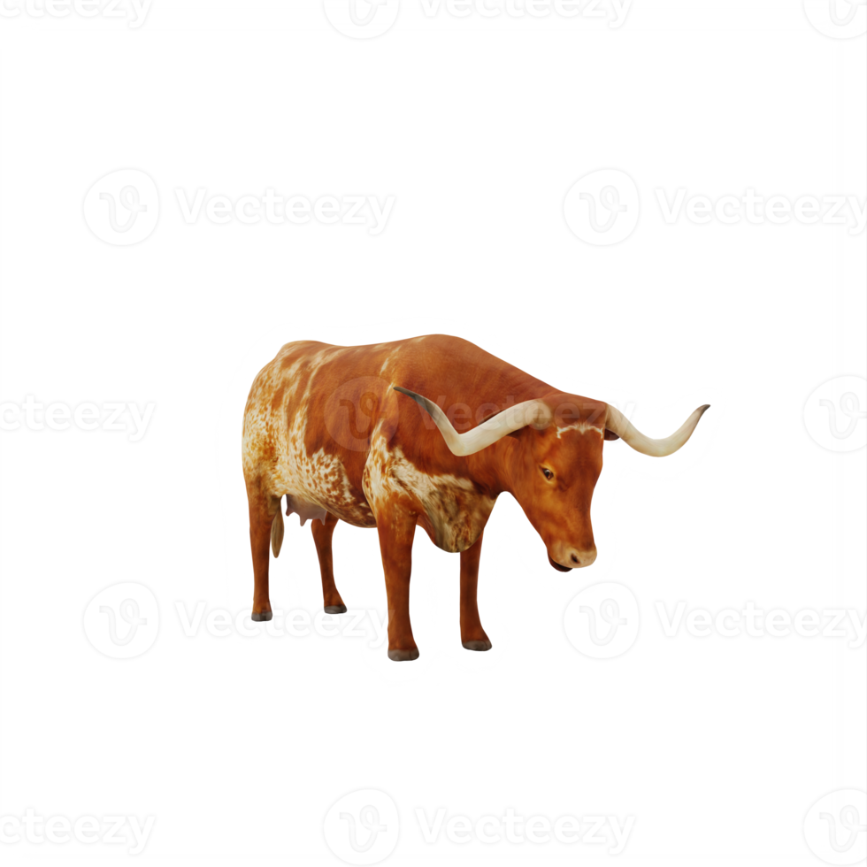 Texas Longhorn cattle isolated png