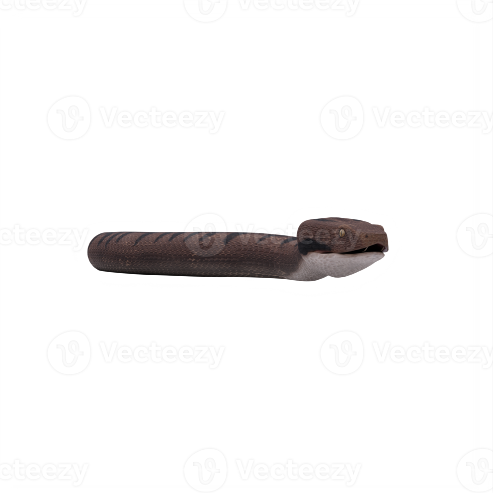 3d viper snake isolated png