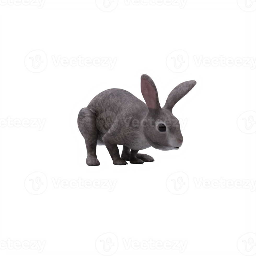 3d wild rabbit isolated png
