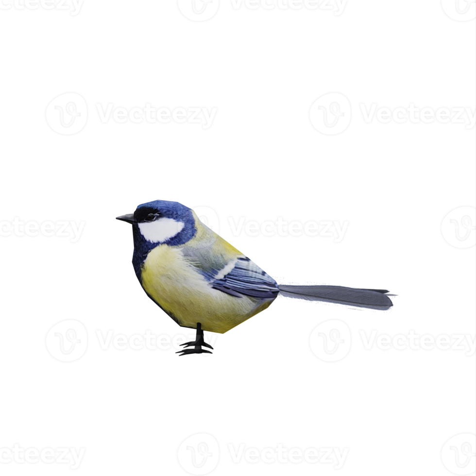 3d Great tit bird isolated png