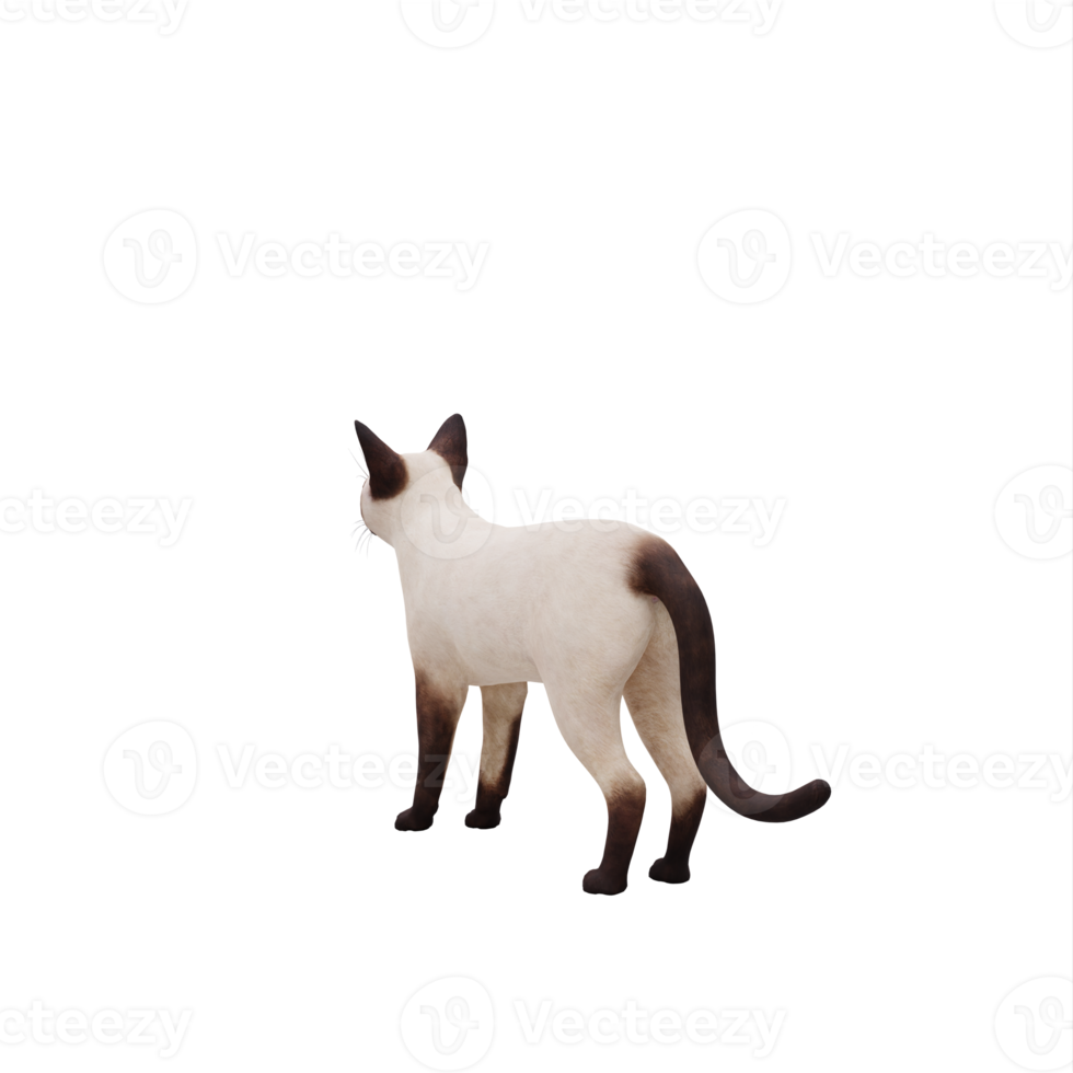 chat siamois 3d isolé png