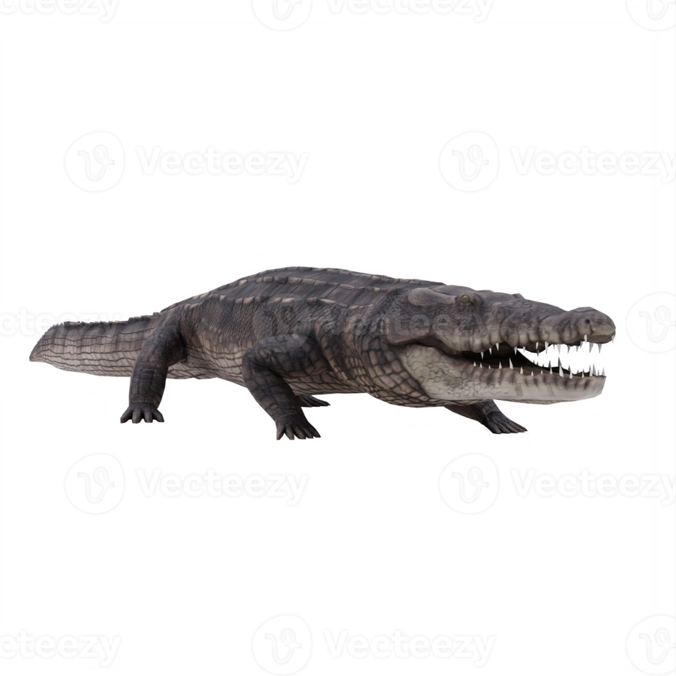 3d African crocodile isolated png