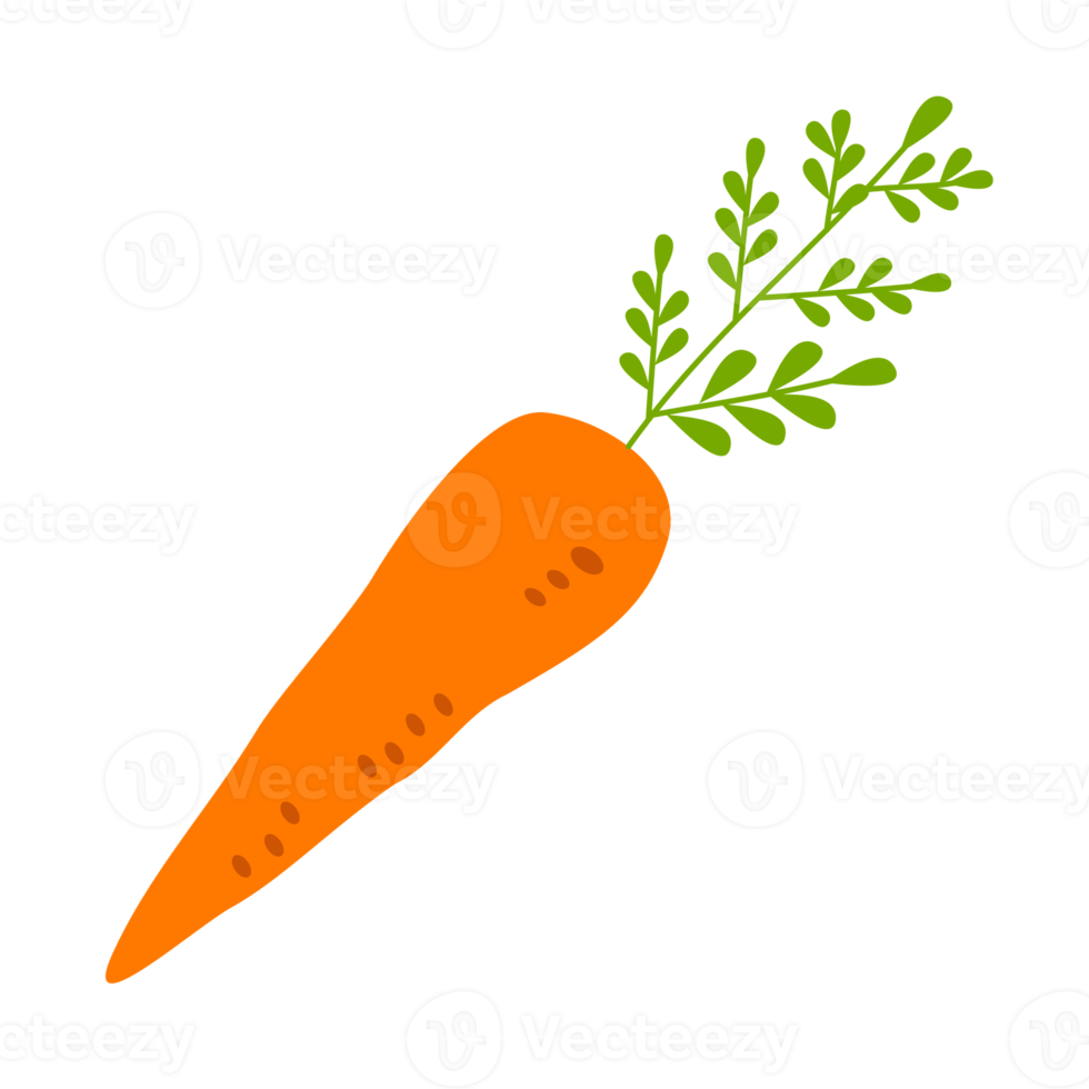Free carrot illustration with leaf 18760335 PNG with Transparent Background