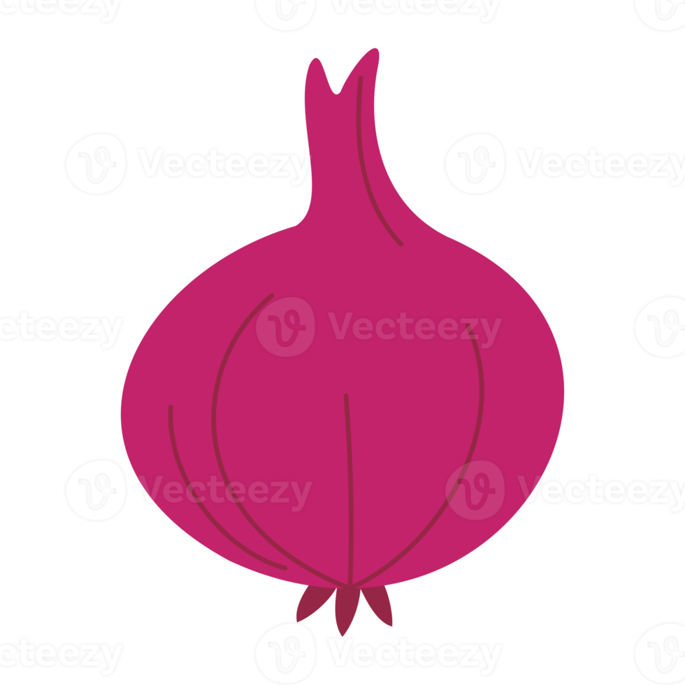 red onion illustration 18760348 PNG