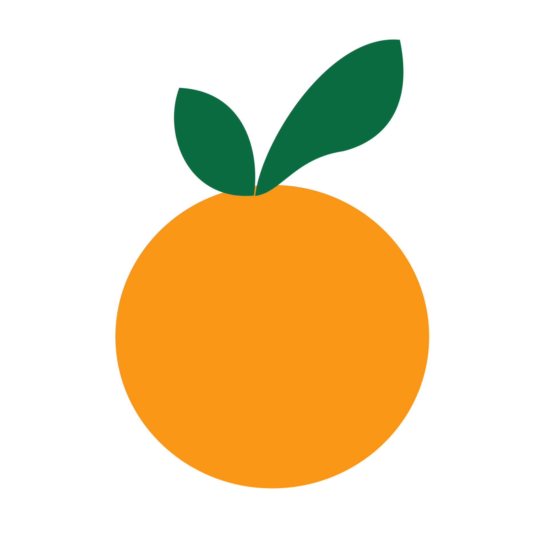 Free orange with leaves illustration 18760432 PNG with Transparent ...