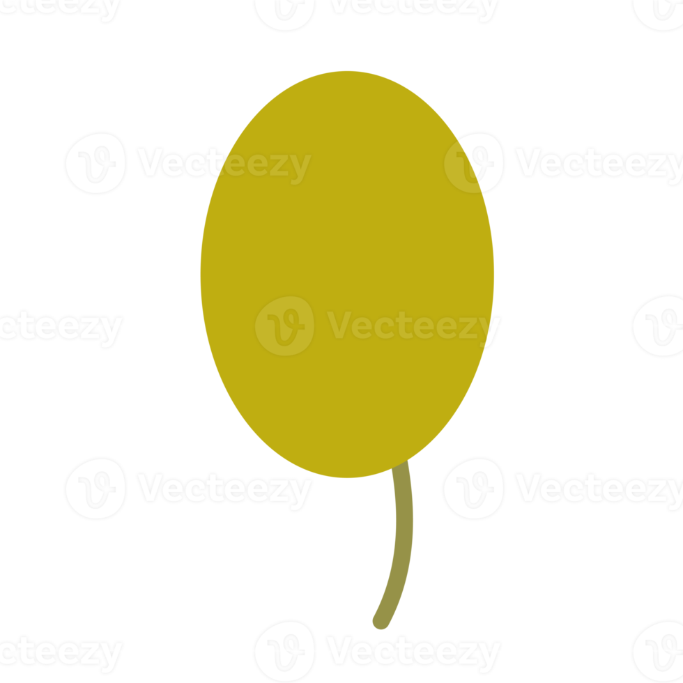 olive fruit for nature design element png