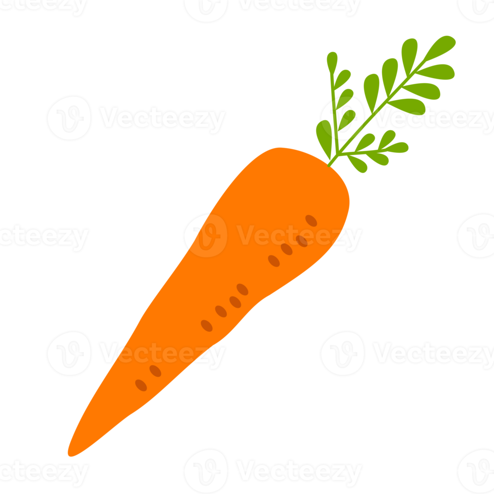 carrot illustration design 18760499 PNG