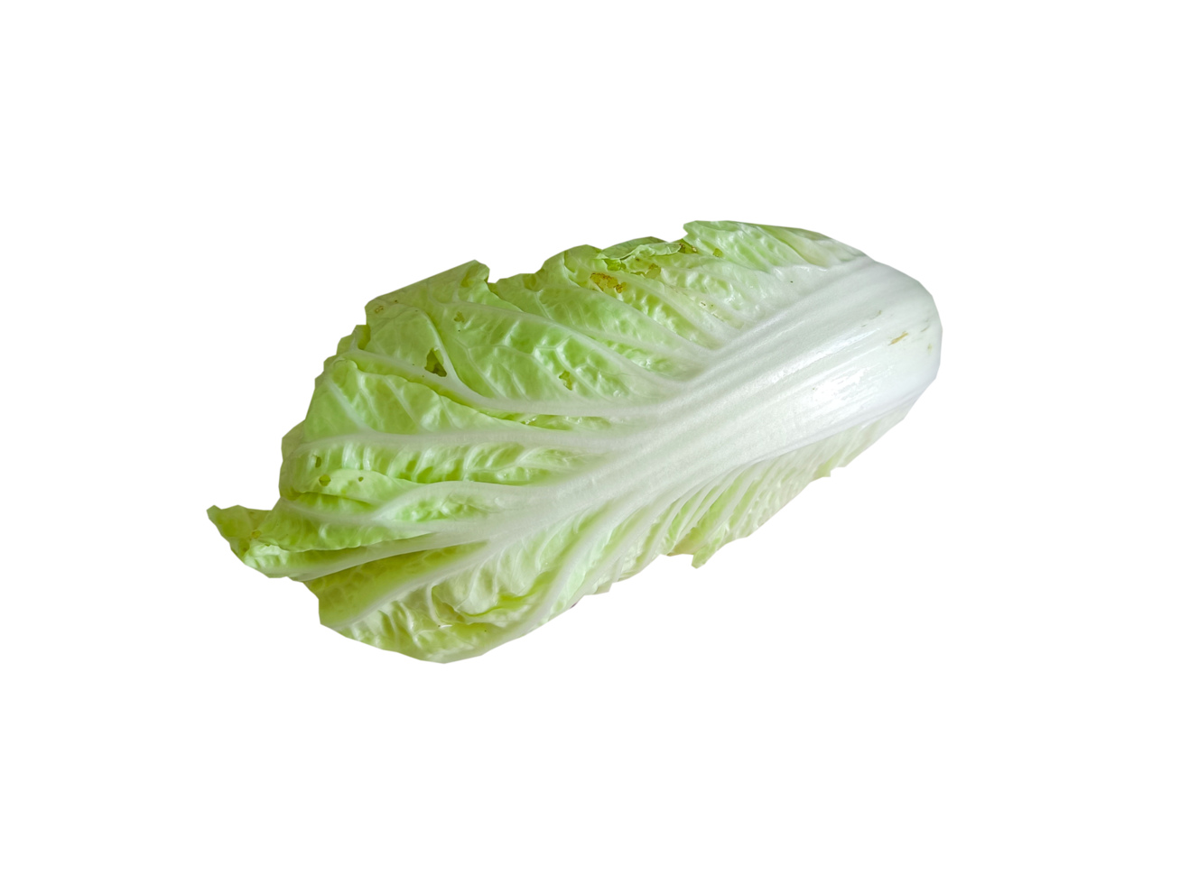 side view of lettuce on transparent background png