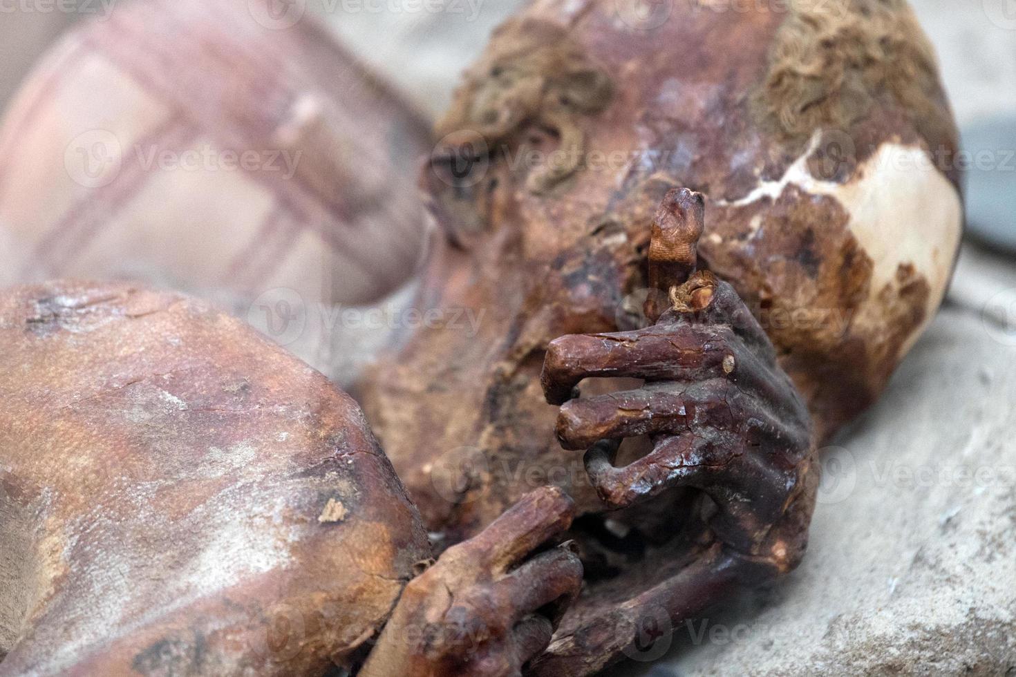 Egyptian mummy head close up photo