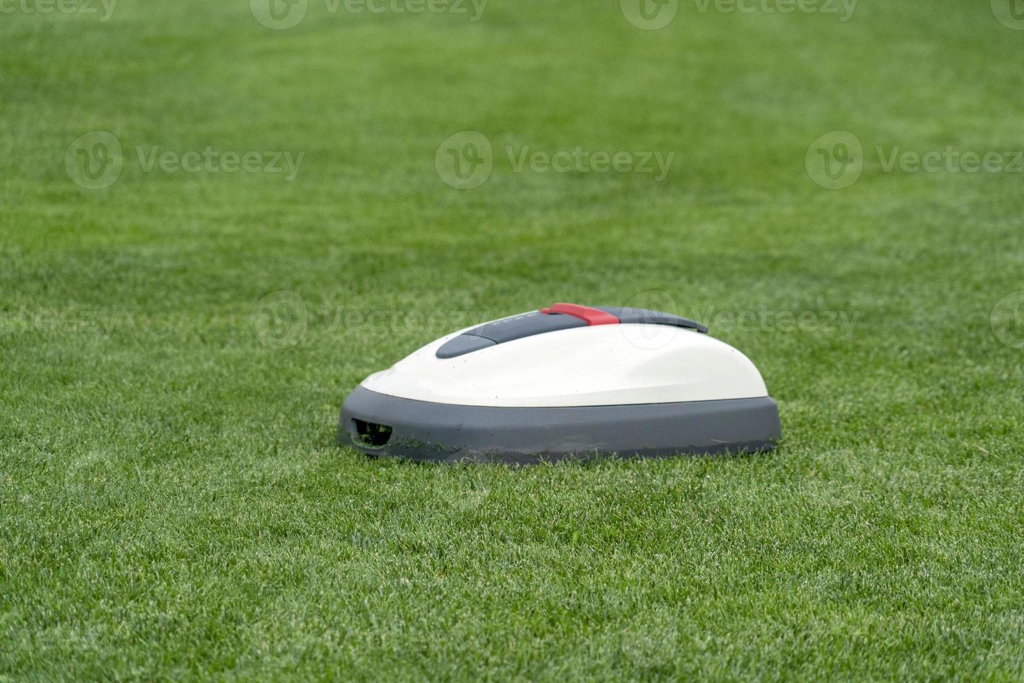 garden grass automated machine robot photo