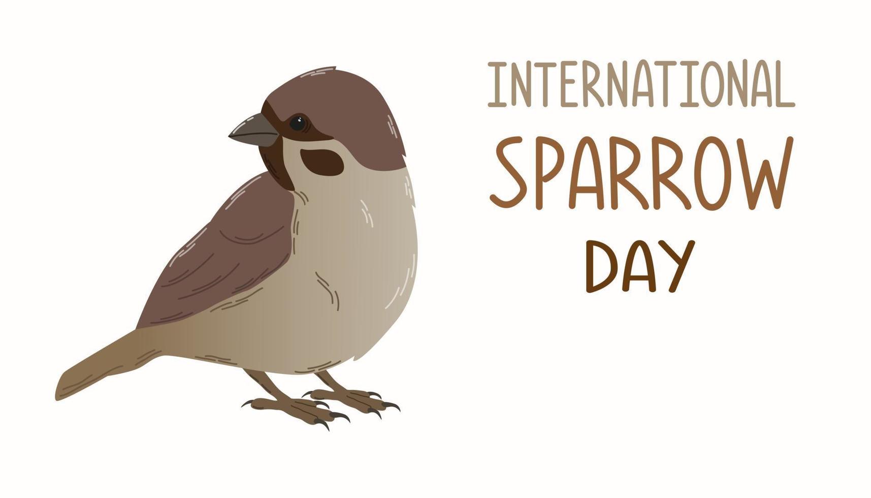 International sparrow day. Sparrow on isolated white background with lettering in flat style. For banner, card, poster. vector