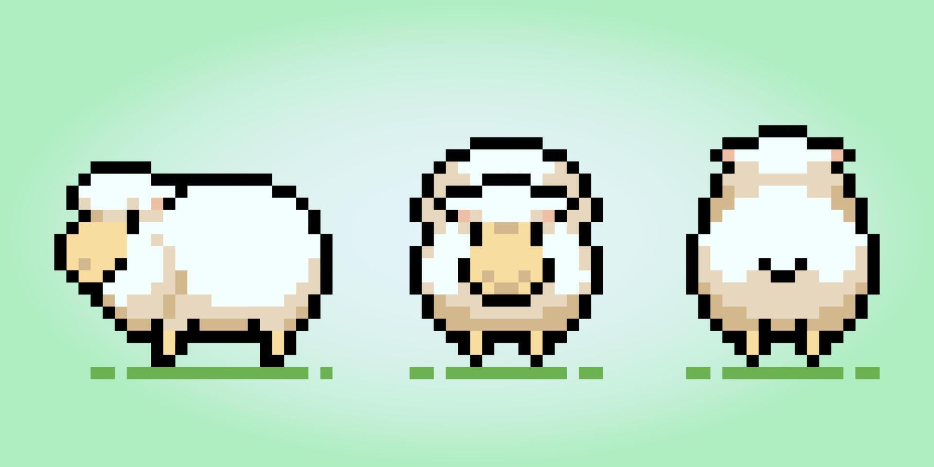 Ovejas de píxeles de 8 bits con tres vistas, frontal, lateral y posterior. animal para activos de juego y patrón de punto de cruz, en ilustración vectorial vector