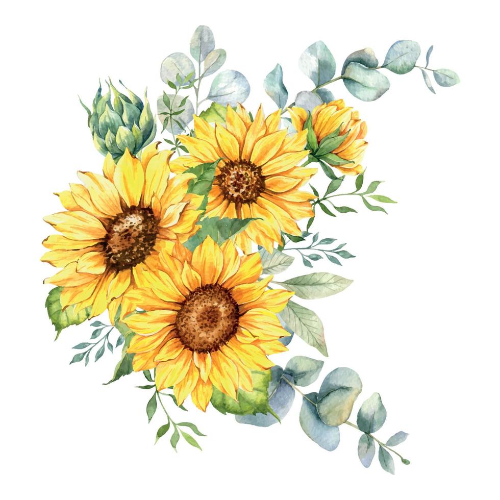 Watercolor sunflowers bouquet, hand painted sunflower bouquets with greenery, sunfower flower arrangement. Wedding invitation clipart elements. Watercolor floral. Botanical Drawing. White background. vector