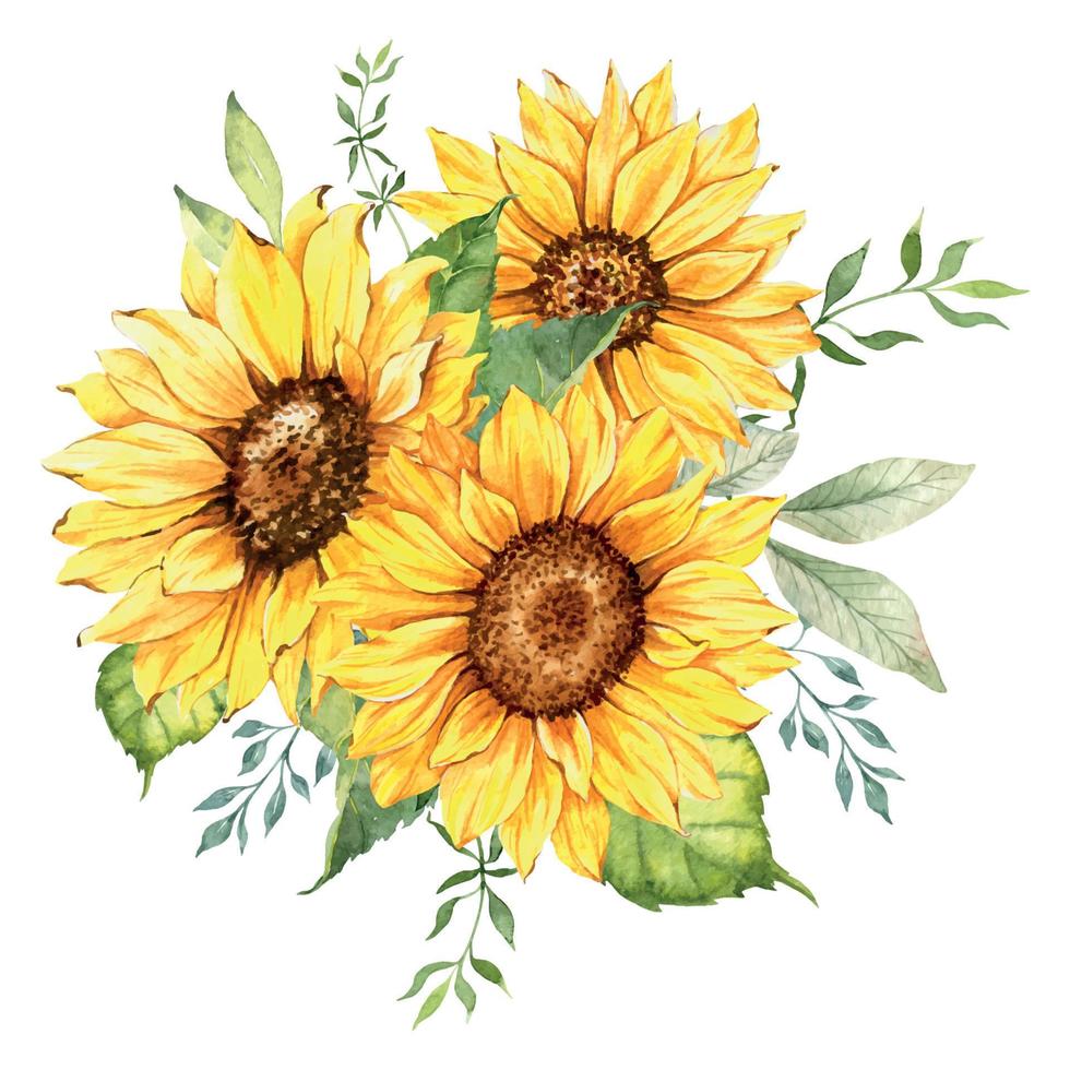 Watercolor sunflowers bouquet, hand painted sunflower bouquets with greenery, sunfower flower arrangement. Wedding invitation clipart elements. Watercolor floral. Botanical Drawing. White background. vector