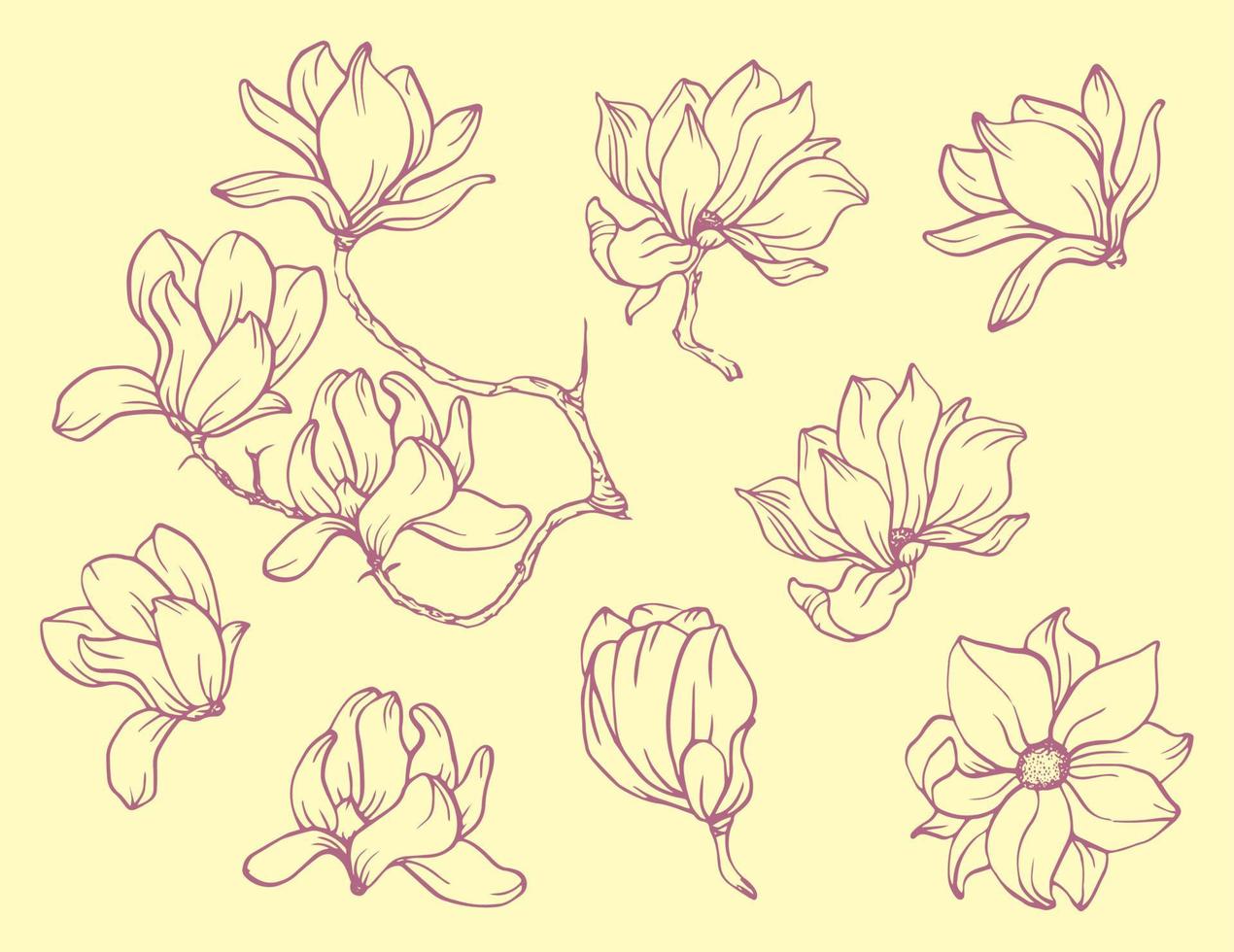 Set of floral elements. Bundle of Linear sketch of Magnolia Flowers. Collection of Hand drawn style vector